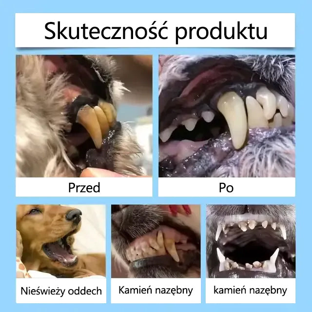 🫧[Oficjalny sklep] CleraNaure® Płyn do pielęgnacji jamy ustnej dla zdrowia zębów i trawienia zwierząt – Odświeża oddech, usuwa kamień nazębny, wspomaga regenerację dziąseł i stabilizuje zęby (dla kotów i psów) – Oszczędź 80% już dziś!